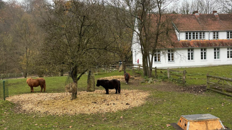 Sustainability Challenge: Pferdegnadenhof
