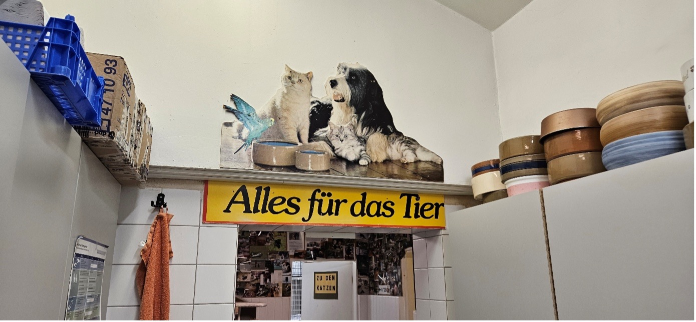 Mein Perspektivwechsel im Tierheim